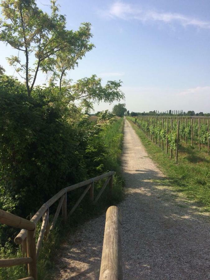 Villa Paolo San Dona di Piave Ngoại thất bức ảnh